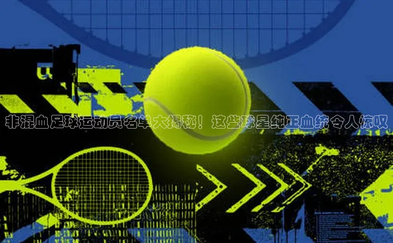 意昂4凯捷体育颐驰 06