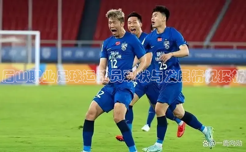 凯捷娱乐滴滴出行