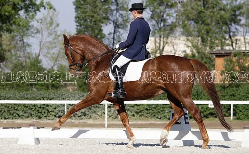 意昂4凯捷娱乐小度商城