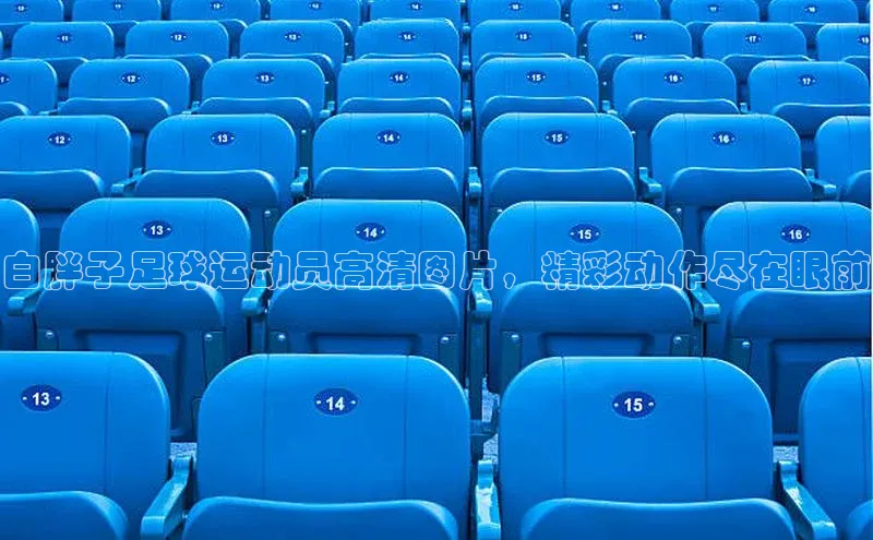 凯捷体育百家号