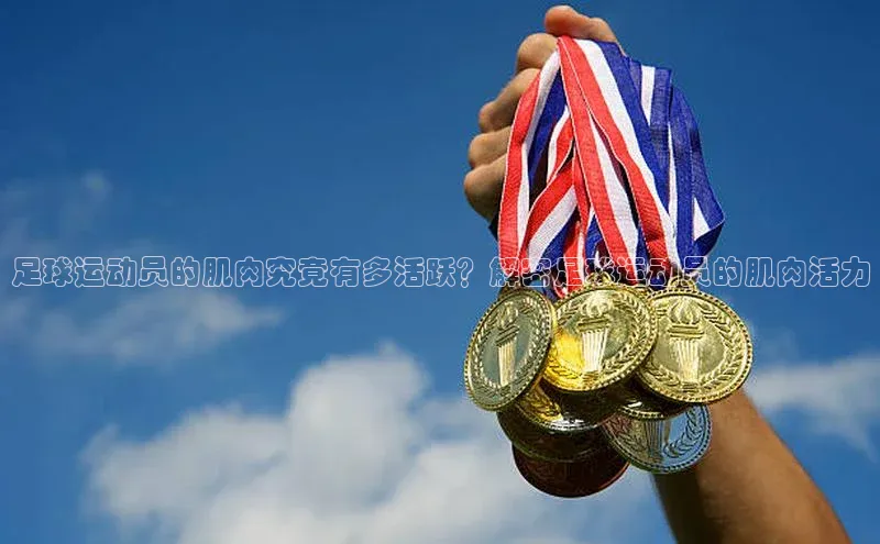 凯捷体育梯哥哥科技