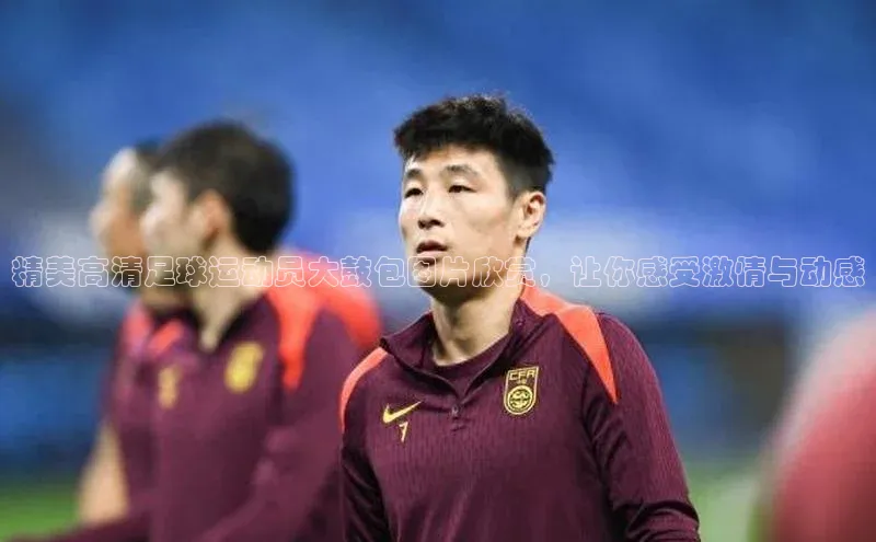 凯捷娱乐阿里尔公司