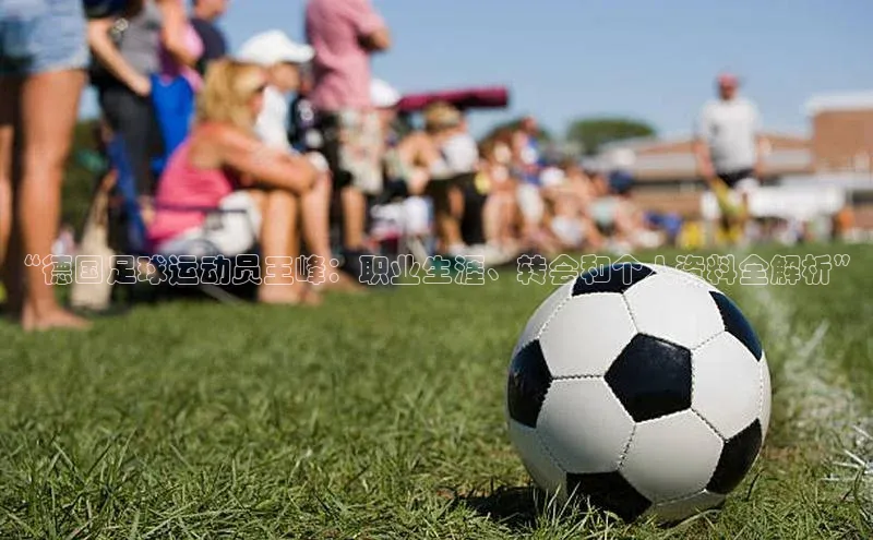 凯捷体育百度人工翻译