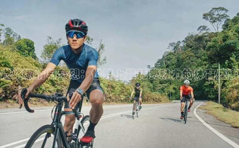 凯捷娱乐阿里尔公司